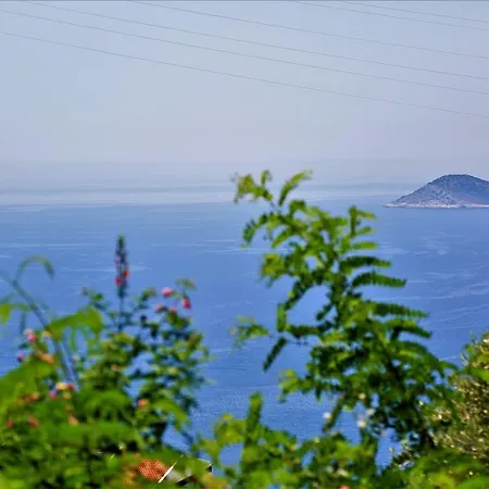 فيلة Mikonos